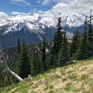 Meet your Posher, Lo